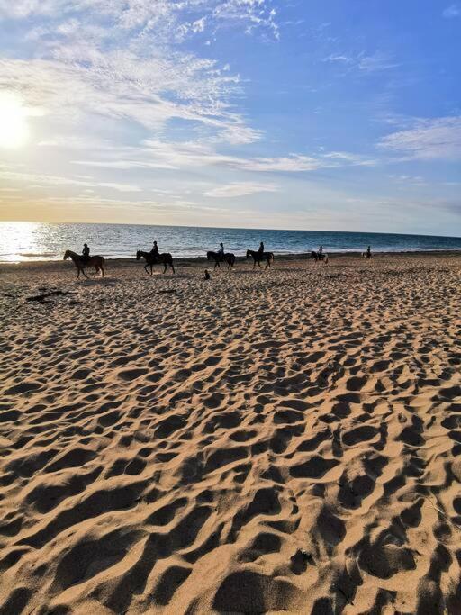 Studio De La Mer A Donville Les Bains מראה חיצוני תמונה