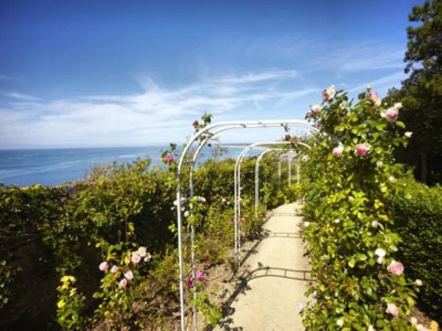 Studio De La Mer A Donville Les Bains מראה חיצוני תמונה
